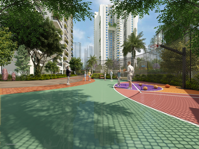 BASKET BALL COURT